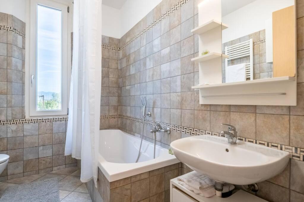 -Villa Emily- Parking, Garden & Wi-Fi 比萨 外观 照片